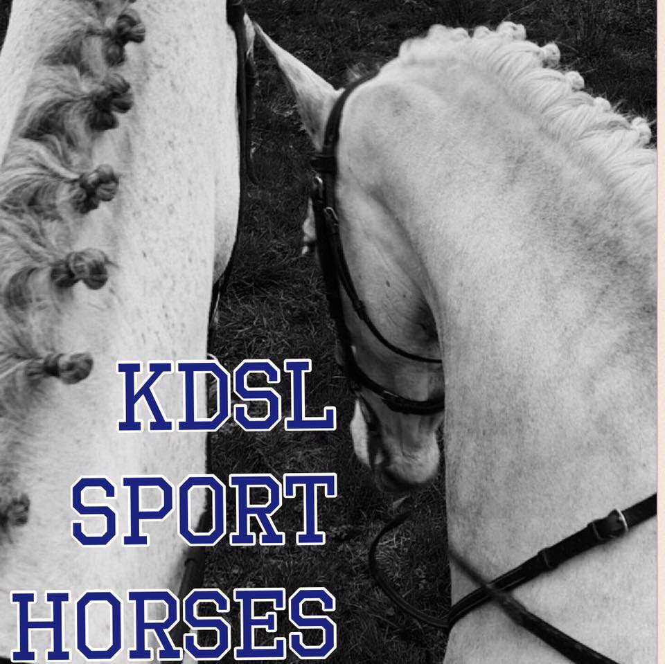 KDSL Sport Horses